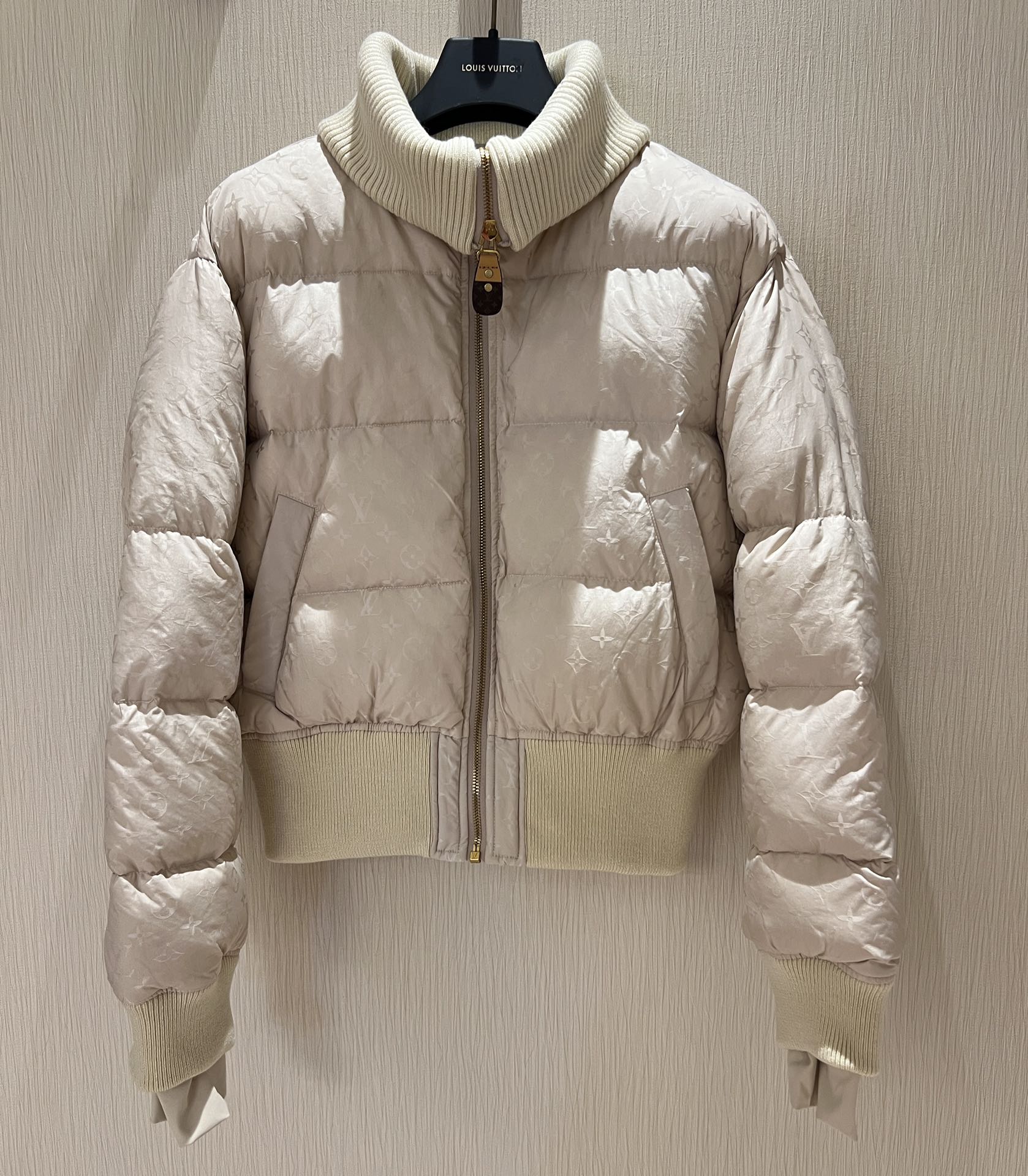 Louis Vuitton Down Jackets